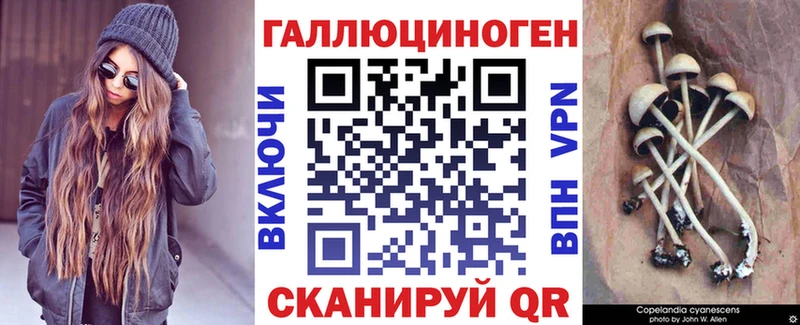 купить  сайты  Горно-Алтайск  Галлюциногенные грибы прущие грибы 