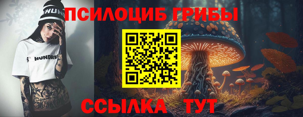 Галлюциногенные грибы Magic Shrooms Горно-Алтайск